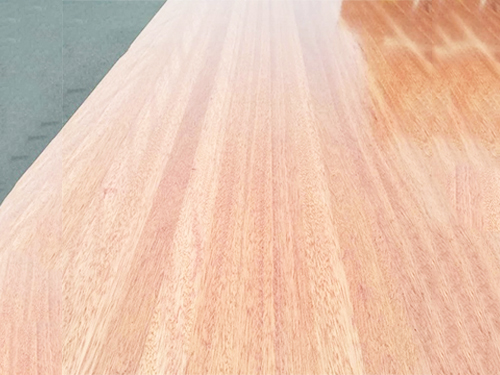 海棠木是一種什么木？